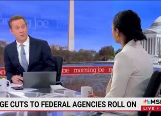 Mara Gay: Federal cuts part of an effort to 'destroy' government, not make it efficient - MSNBC