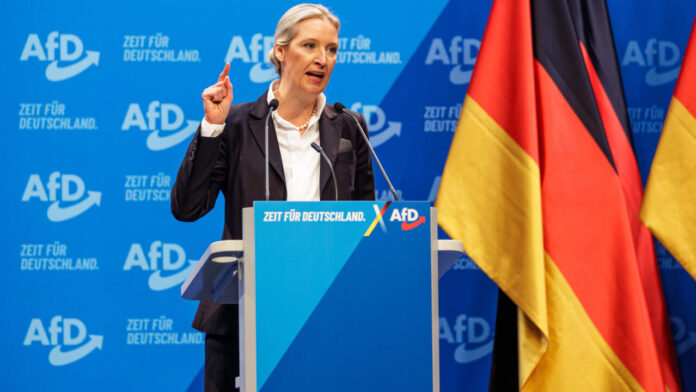 Meet Alice Weidel, An Openly Gay Politician Who Is The Unlikely Queen Of German Far-Right - NDTV