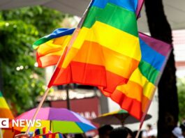 Ghanaian MPs reintroduce controversial anti-LGBT bill - BBC.com