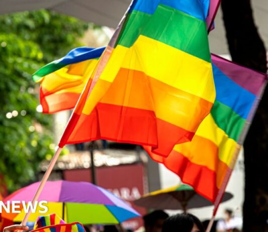 Ghanaian MPs reintroduce controversial anti-LGBT bill - BBC.com