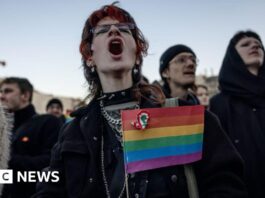 Hungary bans LGBT Pride marches sparking protests - BBC.com