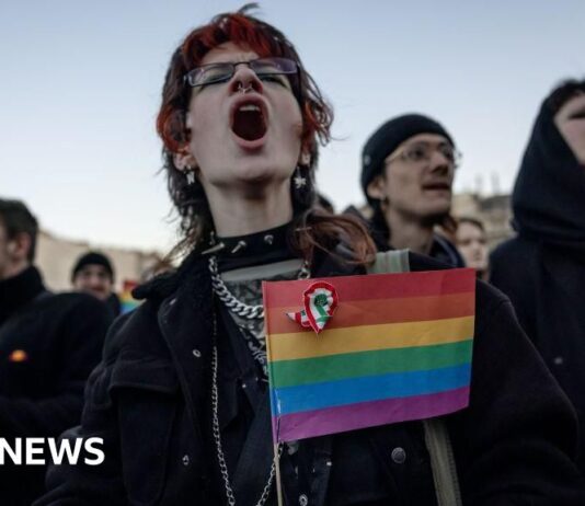 Hungary bans LGBT Pride marches sparking protests - BBC.com