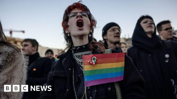 Hungary bans LGBT Pride marches sparking protests - BBC.com