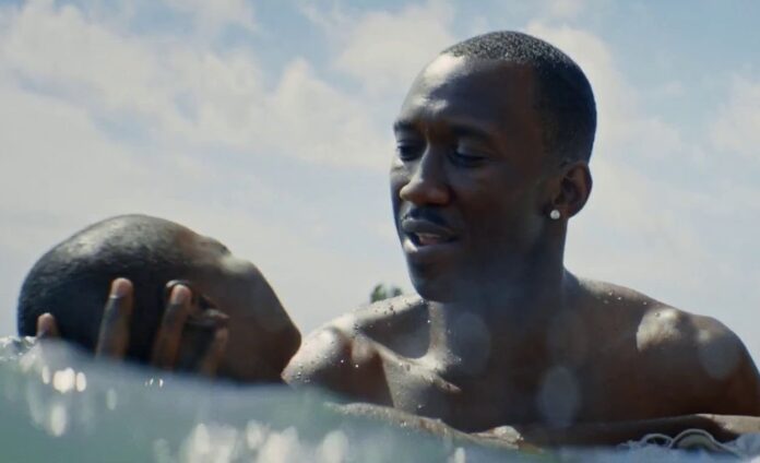 ‘Moonlight’ Leads Gay and Lesbian Entertainment Critics’ Dorian Award Nominations - Hollywood Reporter